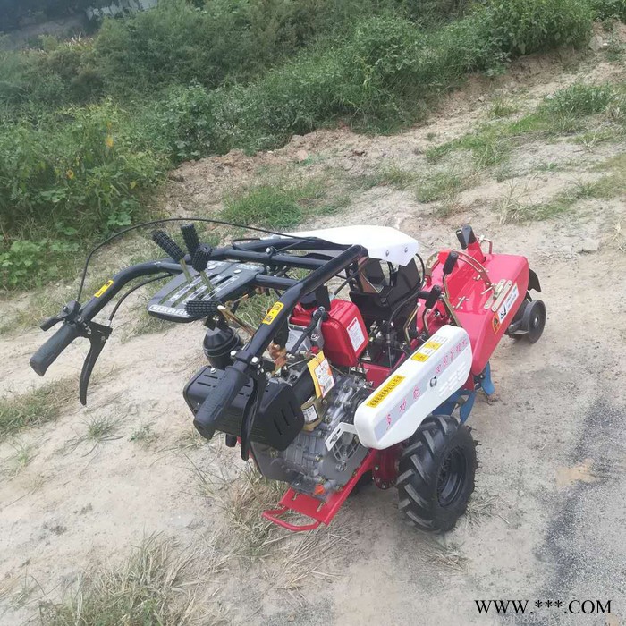 山药果园起垄机 柴油山药培土机 大葱开沟机价格图8