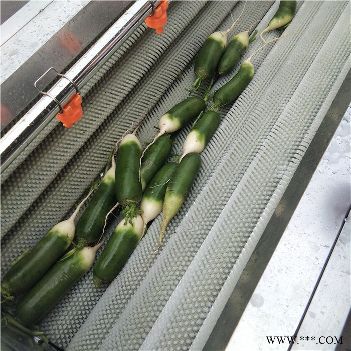 义康MQX-1500型 萝卜去泥清洗设备 洋葱去皮清洗设备  山药去皮清洗加工设备图4