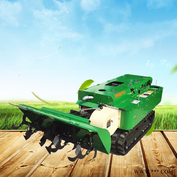 蓝莓草莓园土杂肥果园旋耕机 启航果园施肥开沟埋土机 山药开沟机价格图8