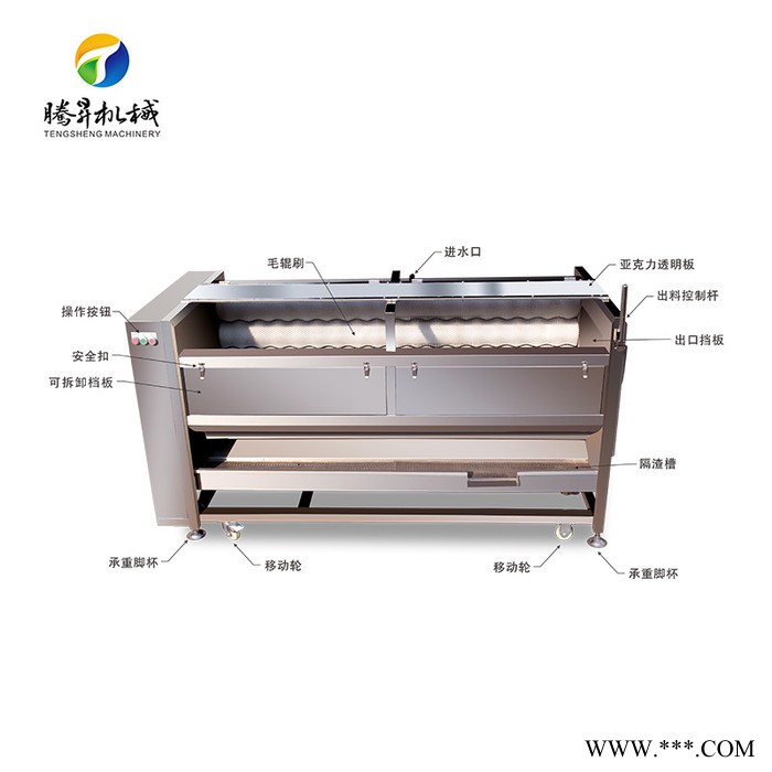 腾昇TS-M800新款大型毛棍去皮机 山药清洗去皮机 木薯削皮机 土豆脱皮机厂家图2