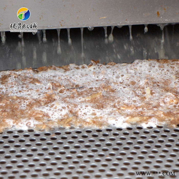 腾昇TS-M800新款大型毛棍去皮机 山药清洗去皮机 木薯削皮机 土豆脱皮机厂家图8