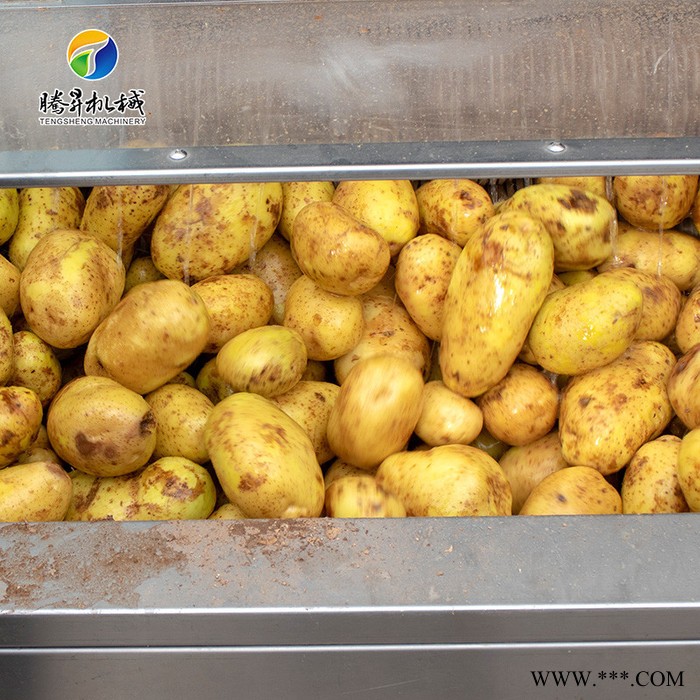 腾昇TS-M800新款大型毛棍去皮机 山药清洗去皮机 木薯削皮机 土豆脱皮机厂家图7