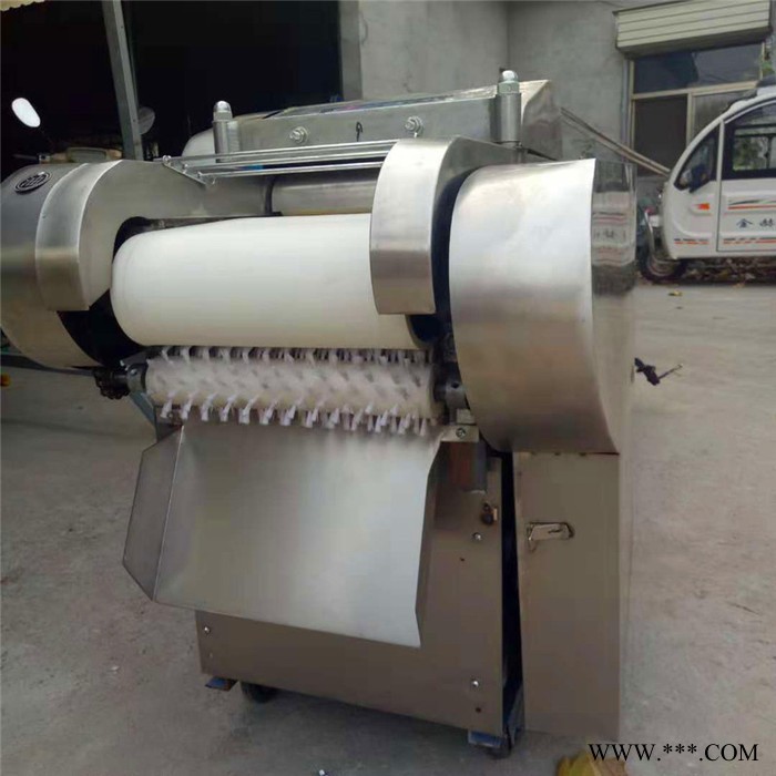 柠檬山楂切片机  黄瓜切丝机型号 山药切片机富兴图6