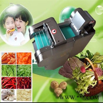 柠檬山楂切片机  黄瓜切丝机型号 山药切片机富兴图5