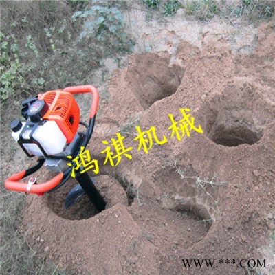 安达新式挖洞机 山药种植打眼机 D销售双人打桩机