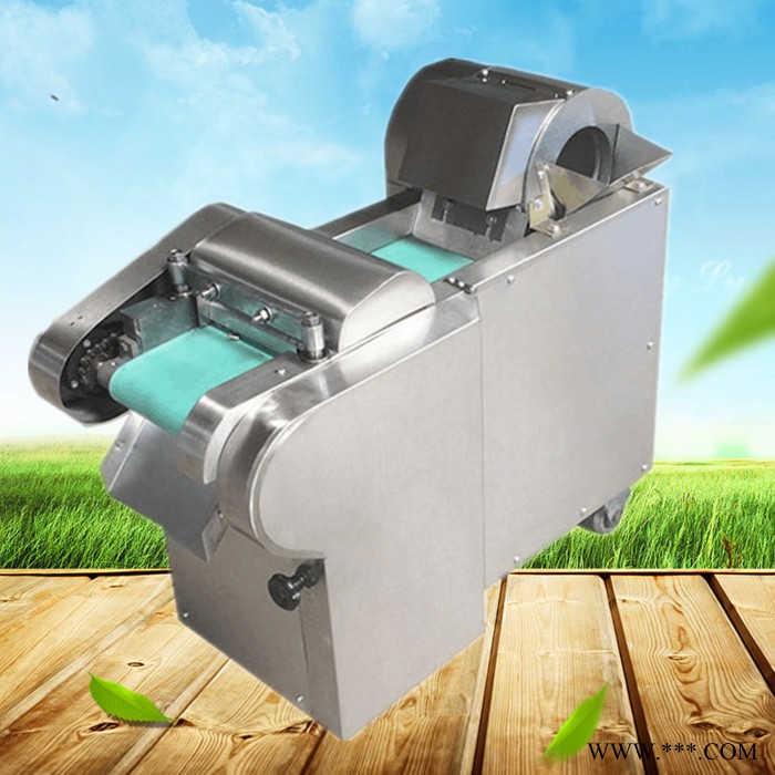 启航馒头切片机 茼蒿切段机 山药切片机图5