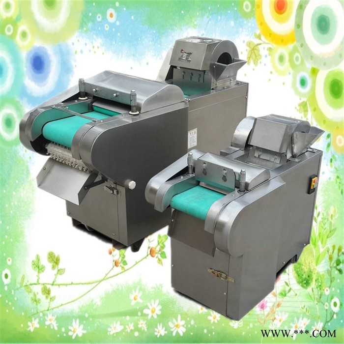 辣疙瘩切片机 浙江地瓜切块机 山药切片机图2