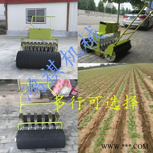 甜辣椒精播机价格 耐用山药播种机 免间苗谷子播种机JBJ图4