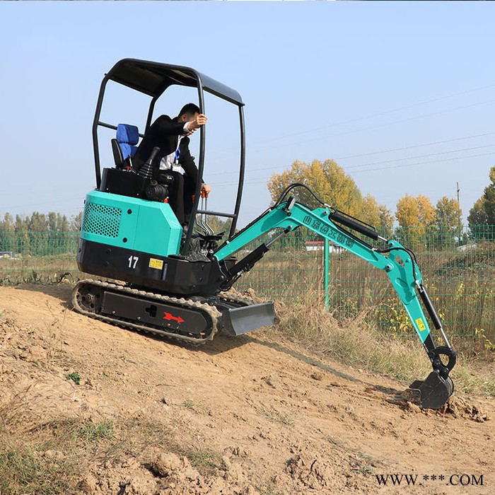 岳工 小型挖掘机 先导三缸挖掘机 挖山药使用挖沟机图2