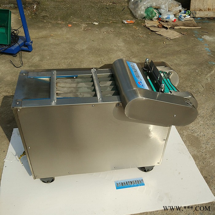 斯诺 全自动切菜机 切菜机使用规格   山药切丁切菜机 面议图2