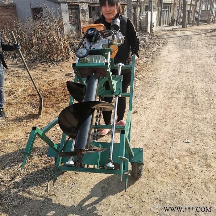 普航园林便捷式挖坑机  植树山药种植挖坑机 手提式打孔机图8