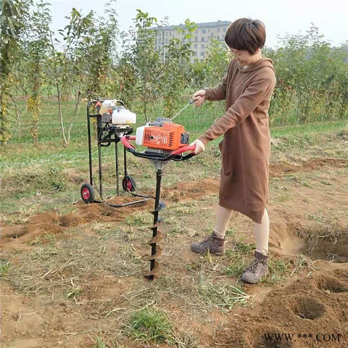 660型山药切片机 豆腐干切块机 启航海带切丝机品牌图4