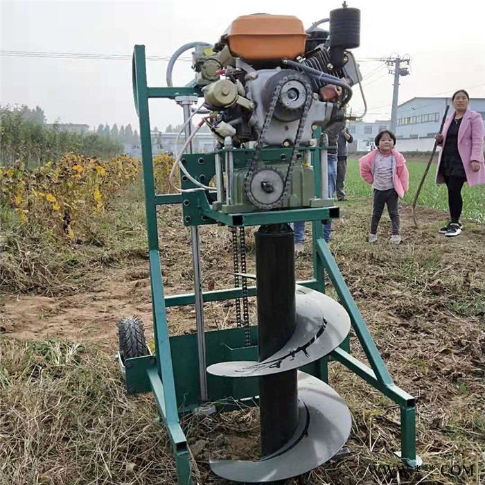 660型山药切片机 豆腐干切块机 启航海带切丝机品牌图3