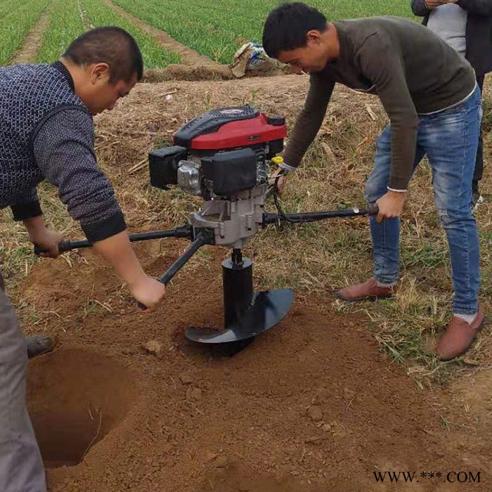 660型山药切片机 豆腐干切块机 启航海带切丝机品牌图5