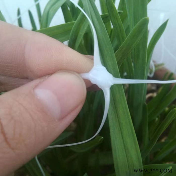 万联丝网 厂家直供 植物攀藤网 爬藤网 白山药网 种植网 植物爬藤网 可定制图5