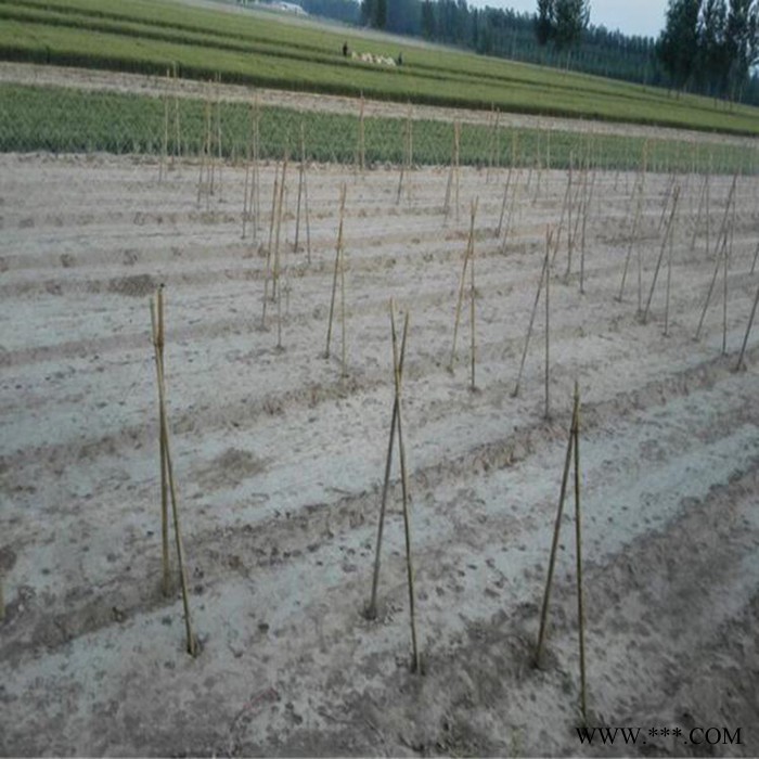 万联丝网 厂家直供 植物攀藤网 爬藤网 白山药网 种植网 植物爬藤网 可定制图2