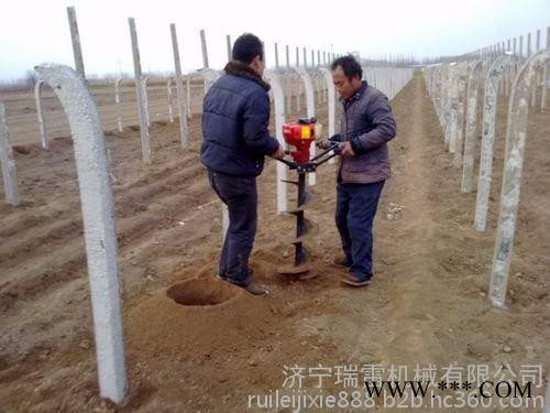 山地丘陵地种植山药钻土打孔机  小型便携式汽油挖坑机图片图2
