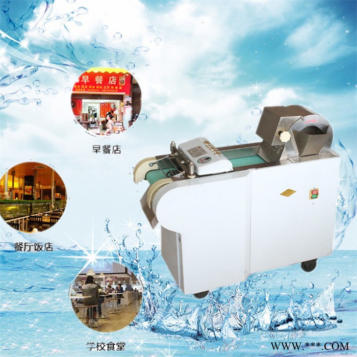 商用黄瓜茄子萝卜富兴切段机 山药竹笋切片机 灵芝切片机富兴图3