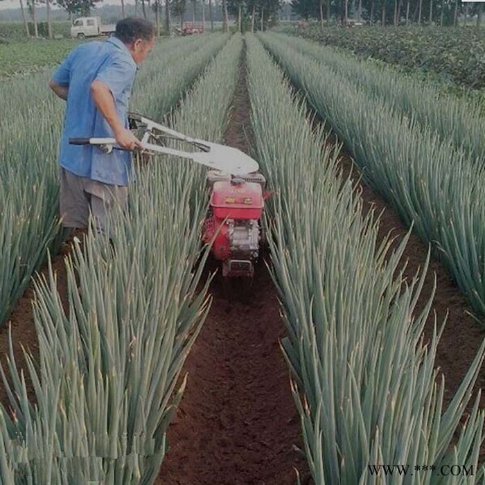 山药果园用挖沟机 农用柴油手扶排水开沟机 田园管理机价格图8