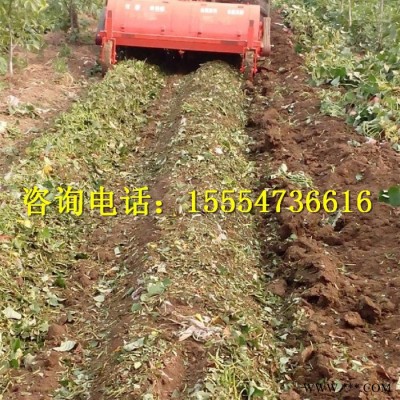 适用性强红薯马铃薯山药杀秧机单垄杀秧机可将垄底的秧苗吸起 杀秧干净