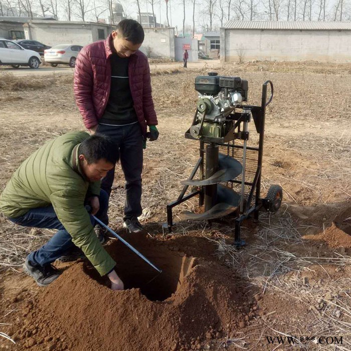 园林便捷式挖坑机 植树山药种植挖坑机 普航手提式挖坑钻眼机图6