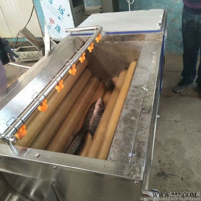 鼎鸿MQX-1500型桔梗去皮清洗机 芋头脱皮清洗机 洋芋清洗机 沙参清洗机 山药豆清洗机 莲藕清洗机 中药材清洗机图2