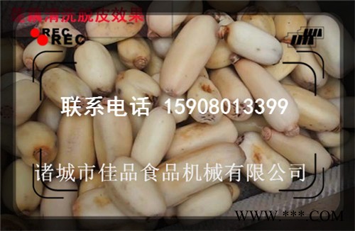 山药去皮机 水果去皮机 木瓜去皮机 药材去皮清洗机 毛辊去皮机图2