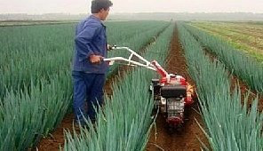 大蒜大葱农用开飞机培土埋藤机 柴油农用开沟机 山药开沟起垄机图2