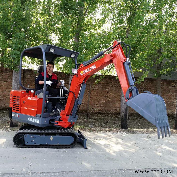 管道改造用小型挖掘机 小型挖机报价  农用小挖机 挖山药用的挖机图3