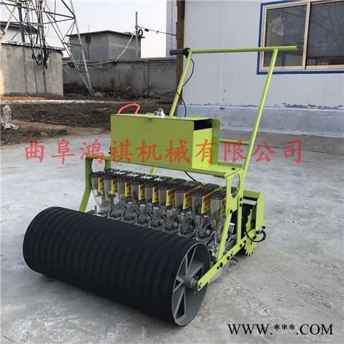 白菜萝卜精播机 小白菜山药种子机 油菜娃娃菜菠菜播种机JBJ图8