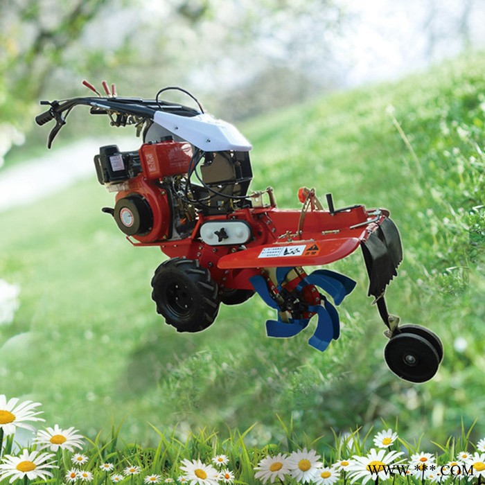 农用田园管理机 金佳186山药红薯开沟机 锄草机价格图3