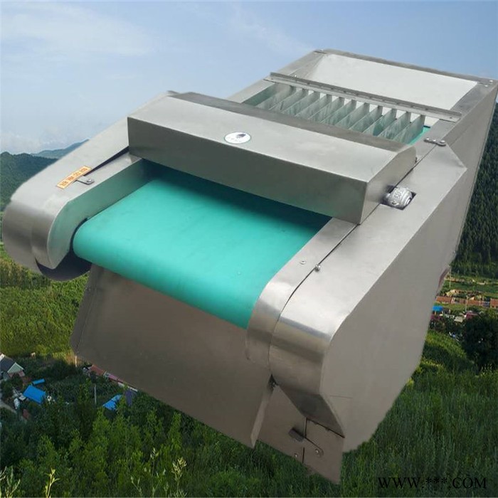 商用冻豆腐切块机 启硕竹笋山药切片机 番薯土豆切片机价格图5