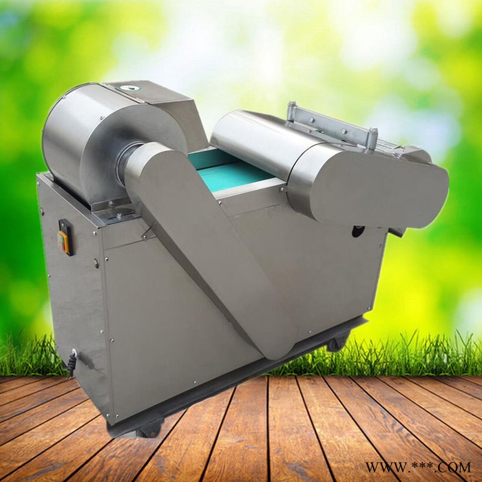 商用冻豆腐切块机 启硕竹笋山药切片机 番薯土豆切片机价格图6