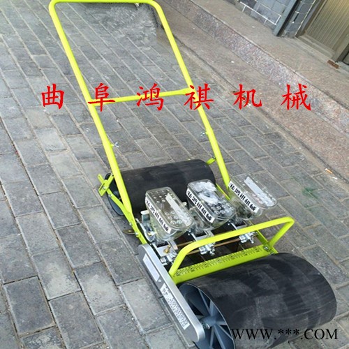 牛蒡山药播种机 H鸿祺蔬菜精播机Q 蔬菜播种机型号图4