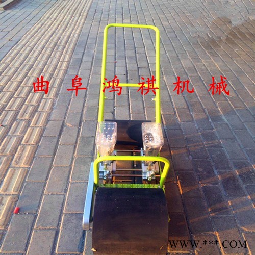 牛蒡山药播种机 H鸿祺蔬菜精播机Q 蔬菜播种机型号图2