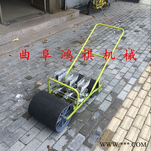 牛蒡山药播种机 H鸿祺蔬菜精播机Q 蔬菜播种机型号图3