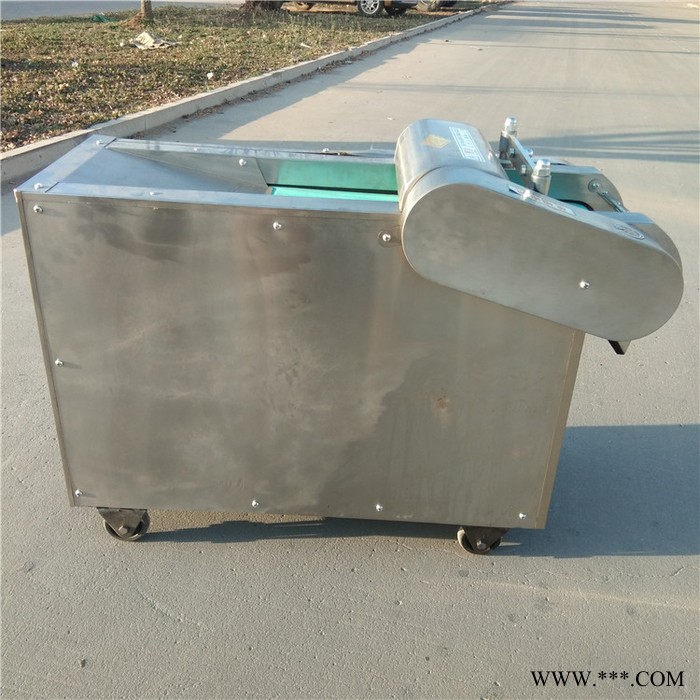 山东土豆山药切片机  年糕切片机厂家 辣椒萝卜切丝机价格图4