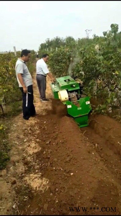 丘陵开荒犁地旋耕机  蔬菜大棚履带回填机 山药种植链条开沟机价格图5