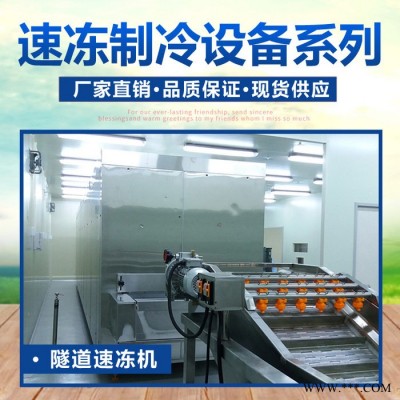 速冻机 水饺速冻隧道 铁棍山药段隧道速冻机 水饺单冻机
