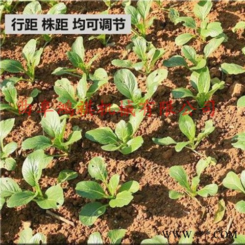 郧县 牛蒡山药播种机 菜籽韭菜播种机 蔬菜高粱谷子播种机图7