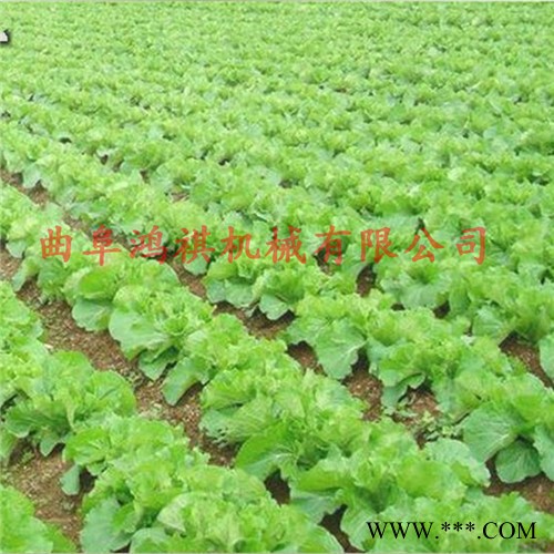 郧县 牛蒡山药播种机 菜籽韭菜播种机 蔬菜高粱谷子播种机图5