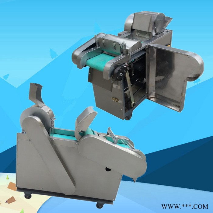 太原菌菇切片机 山药苦瓜切片机质保 豆腐切块机大葱切丝机图6