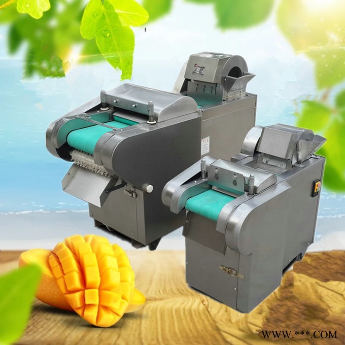 太原菌菇切片机 山药苦瓜切片机质保 豆腐切块机大葱切丝机图8