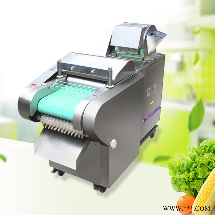 太原菌菇切片机 山药苦瓜切片机质保 豆腐切块机大葱切丝机图4