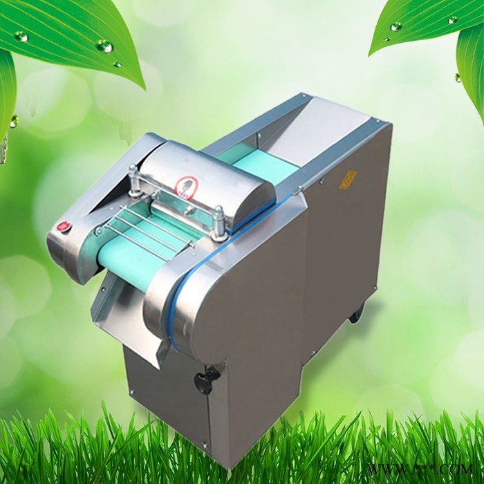 太原菌菇切片机 山药苦瓜切片机质保 豆腐切块机大葱切丝机