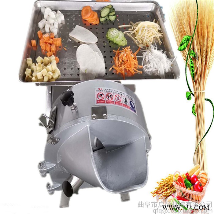 太原菌菇切片机 山药苦瓜切片机质保 豆腐切块机大葱切丝机图7