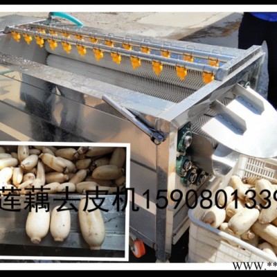 胡萝卜去皮清洗机 白萝卜去皮清洗机 山药去皮清洗机 直销