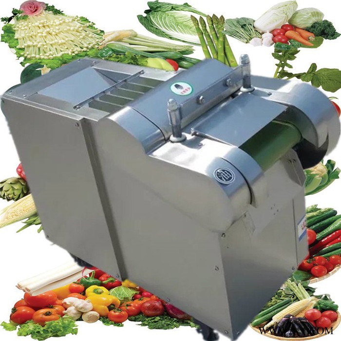 菜用大葱切段机 启硕多功能木耳高效切菜机 小型山药柠檬切片机价优图7