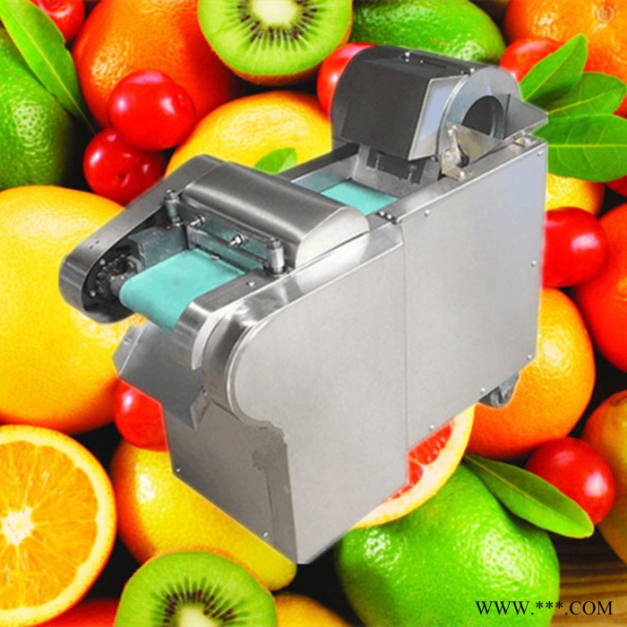 菜用大葱切段机 启硕多功能木耳高效切菜机 小型山药柠檬切片机价优图6