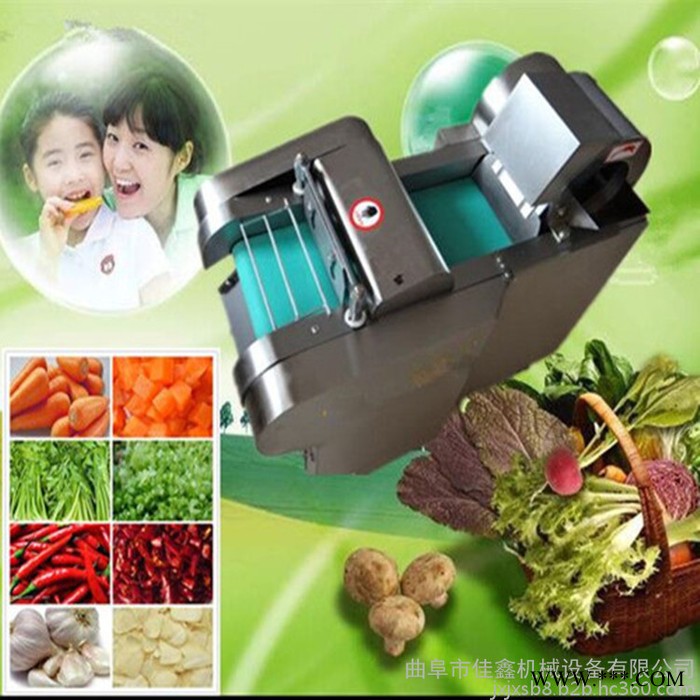 佳鑫高效豆制品切丝切条机    烧烤专用牛板筋切片机  山药切片机视频图4